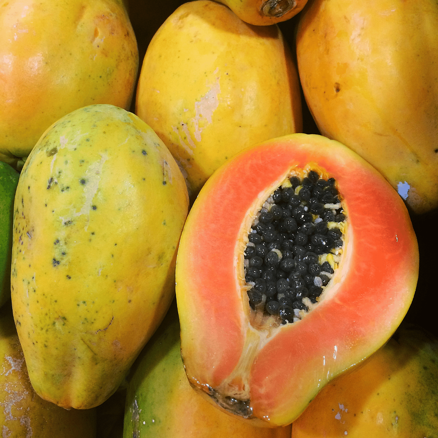 Organic (Desi) Papaya Seeds (Pack Of -25 Seeds)