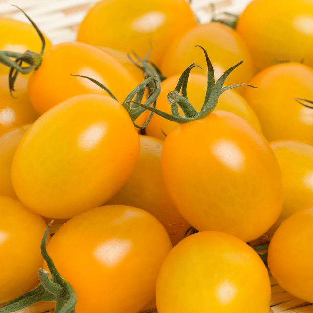 Organic (F2 Hybrid) Cherry Tomato (Yellow) Seeds(Pack Of - 40 Seeds)