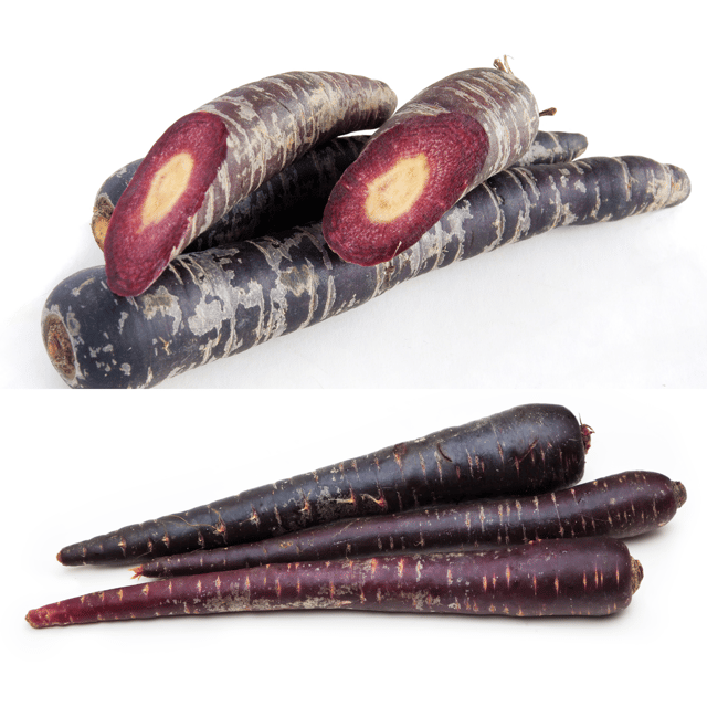 Organic (F2 Hybrid) Black Carrot Seeds  -(Pack Of - 50 Seeds)