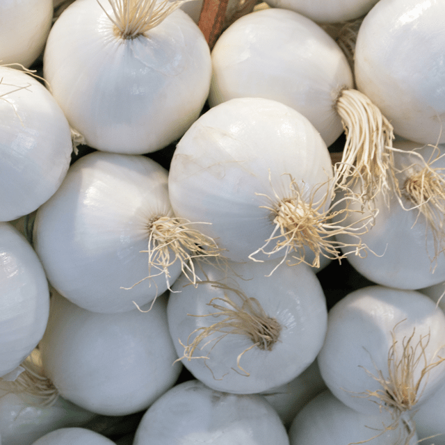 Organic (F2 Hybrid) White Onion Seeds(Pack Of - 50 Seeds)
