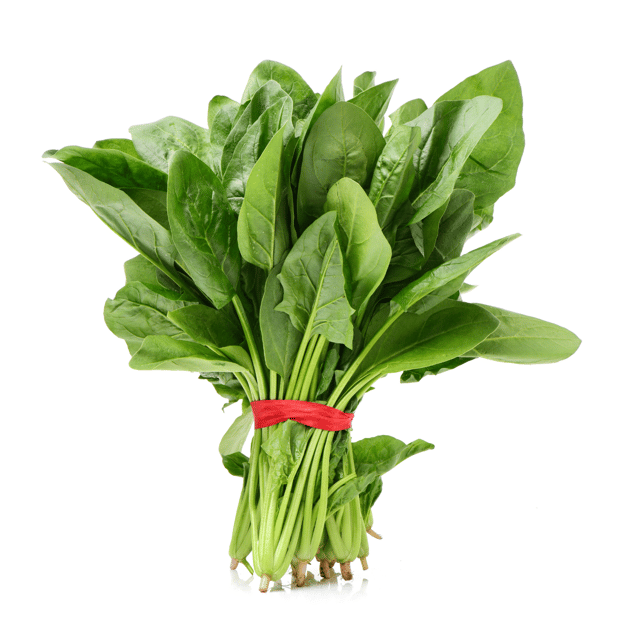 Organic (F3 Hybrid) Green Spinach Seeds(Pack Of - 200 Seeds)