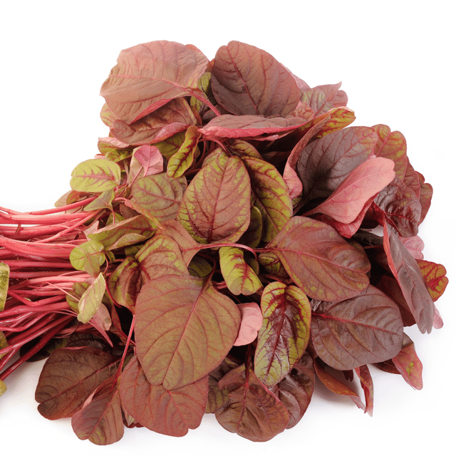 Organic (Desi) Red Spinach Seeds(Pack Of - 200 Seeds)