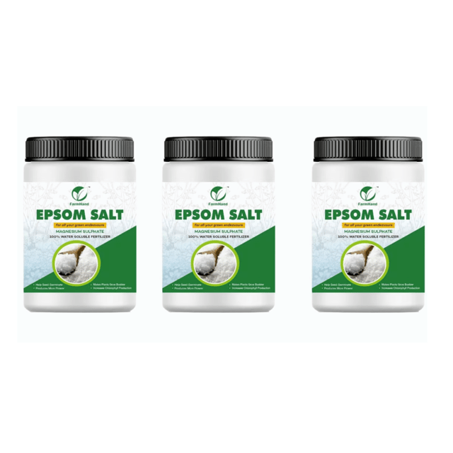 Pack Of -3 Premium Epsom Salt For Plant Growth (500 gm)