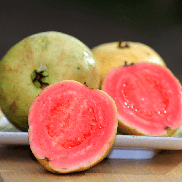 Thai Pink Guava Live Palnt (Psidium Cattleianum)