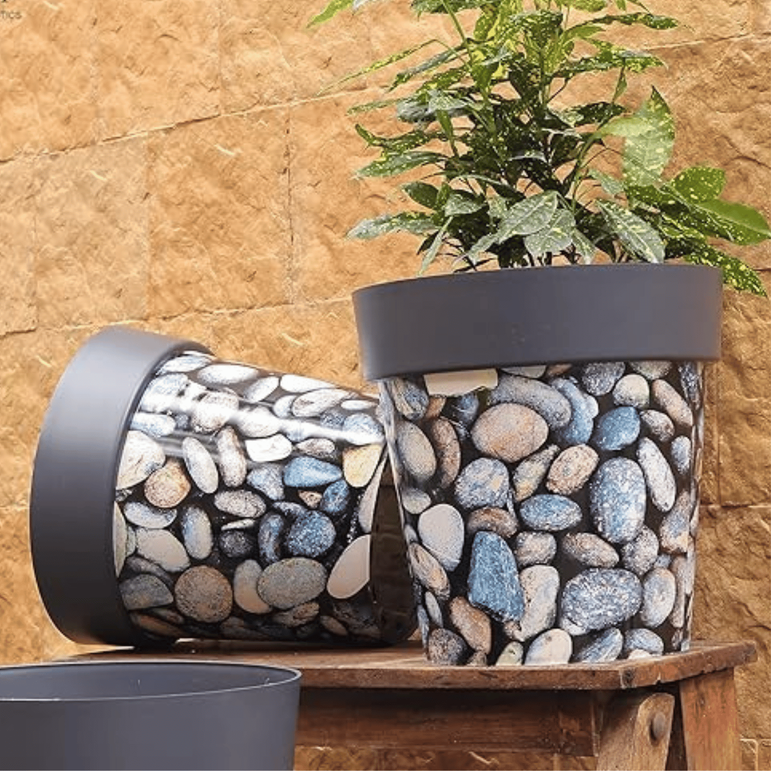 Sole Pebble Printed Desingner Plastic Pot