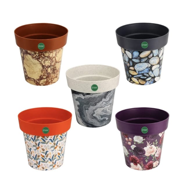 Set Of 5 - Multi Colour Desinger Graden Plastic pot - 8 Inches