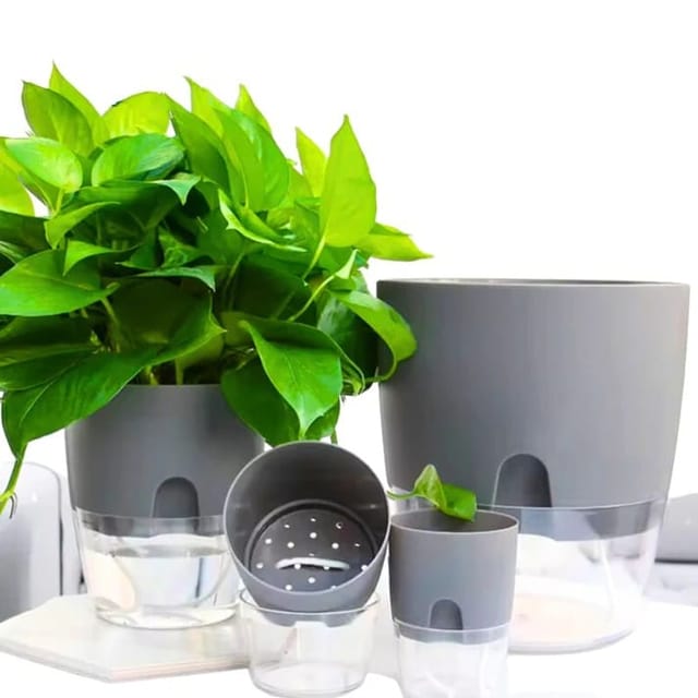 Dual Case Stylish Self-Watering Pot - 4 Inch