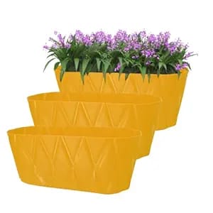 Solitaire Garden Designer Window Plastic Pot - 14 Inch