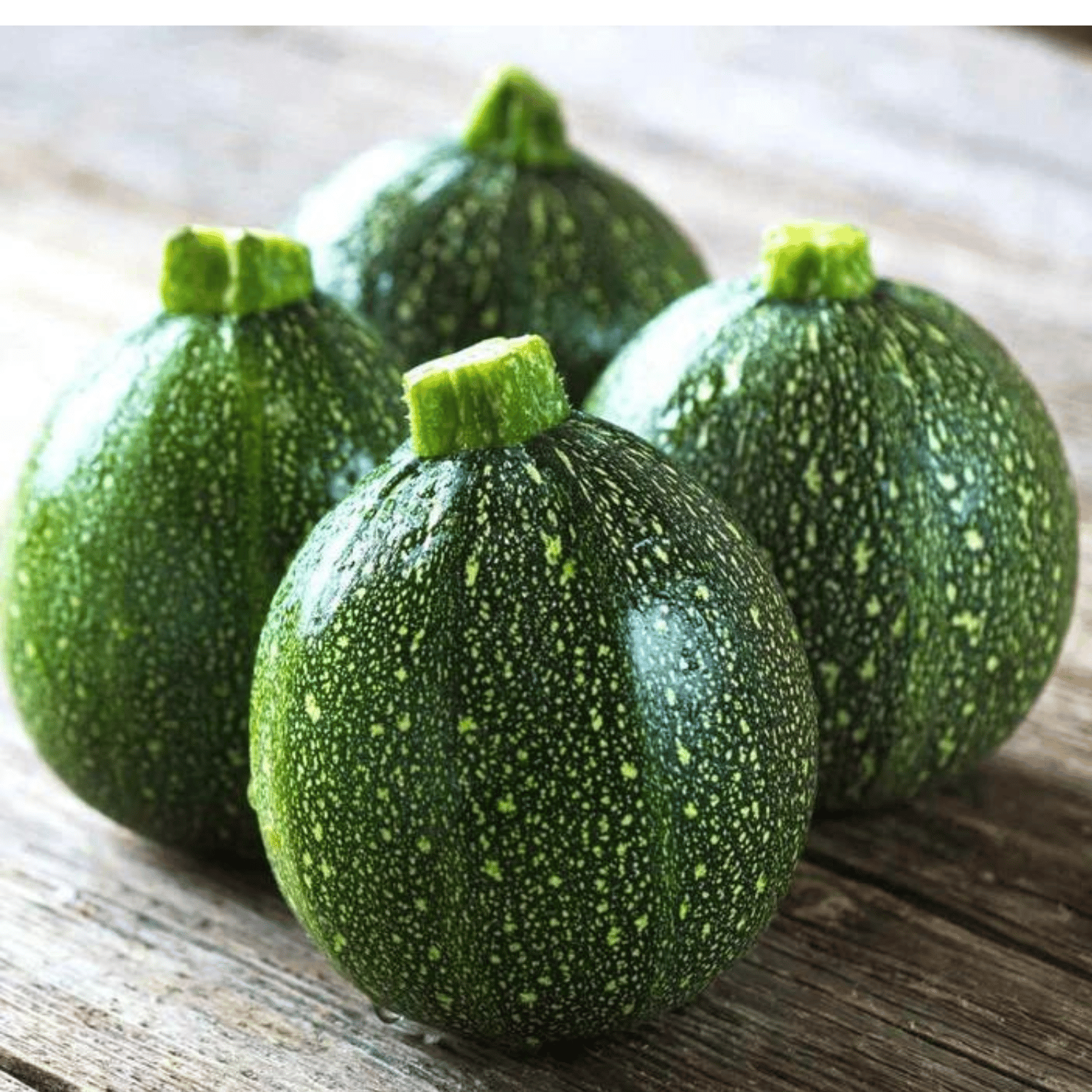 Organic Chappan Kaddu / Summer Squash  Seeds (Pack Of - 25 Seeds)