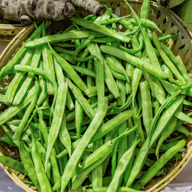 Organic Cluster Beans/Gawar Phalli Seeds(Pack Of - 100 Seeds)