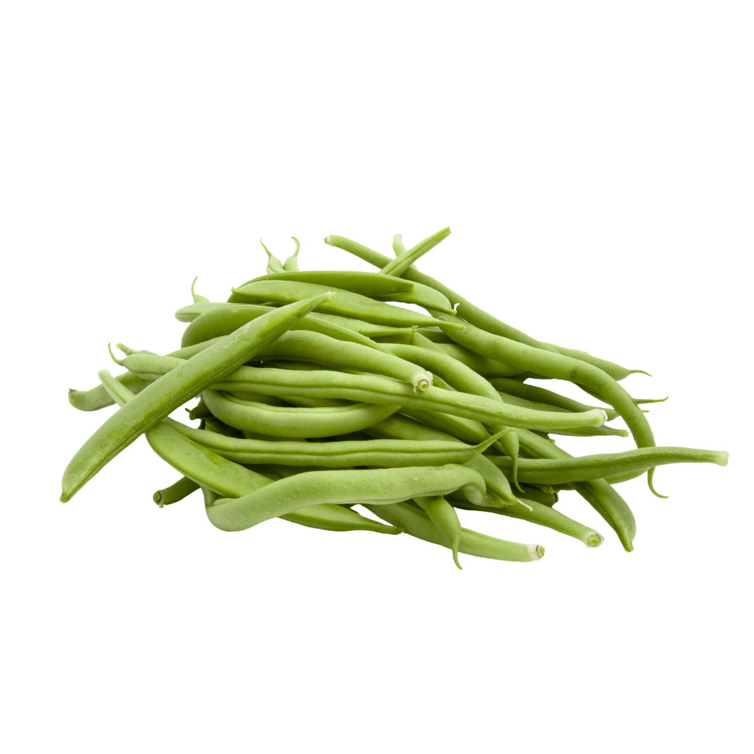 Organic French Beans Seeds (Pack Of - 06)