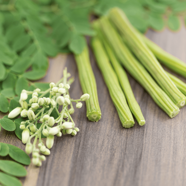 Moringa (Drumstick) Seeds (Pack Of - 25 Seeds)