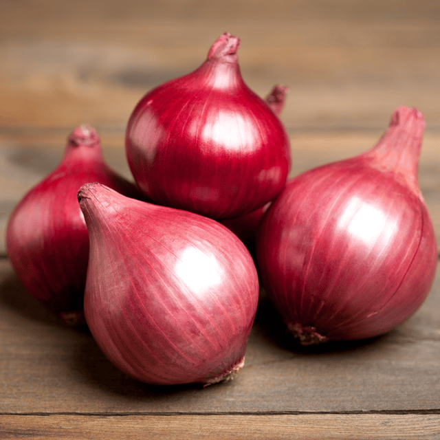 Organic  Onion Seeds(Pack Of - 100 Seeds)