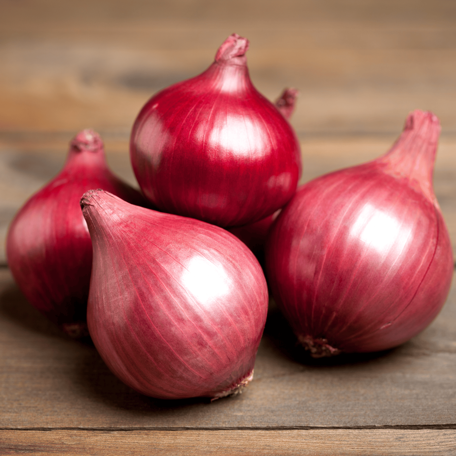 Organic  Onion Seeds(Pack Of - 30 Seeds)