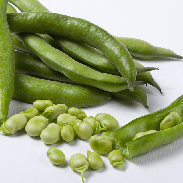 Organic Broad Beans (vyaapak sem) Seed (Pack Of-25 Seeds)