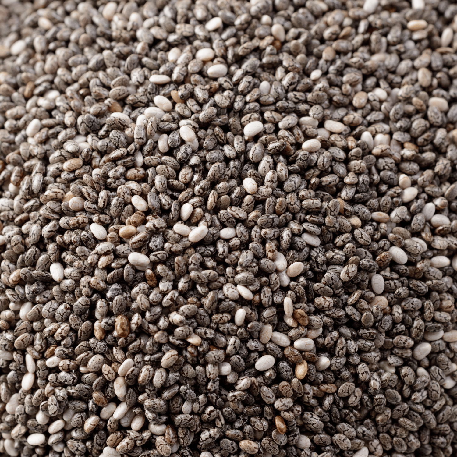 Organic Chia/chiya Seed (Pack Of 100 Seeds)