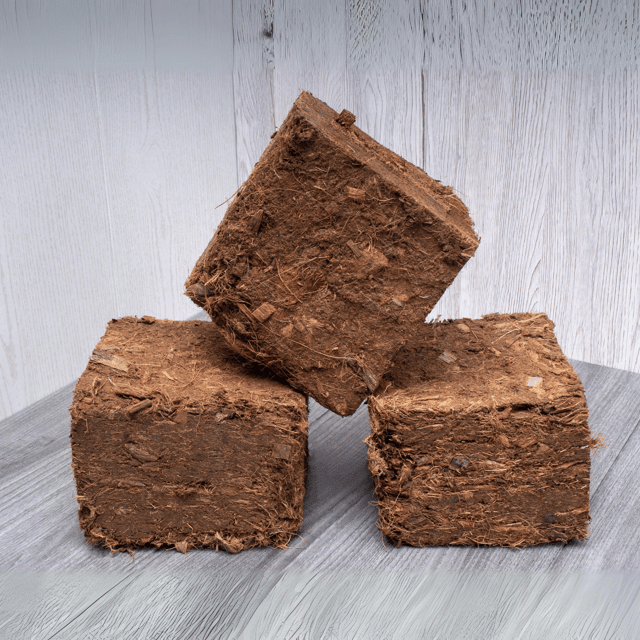 Cocopeat Bricks