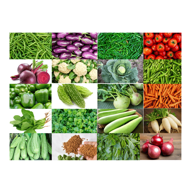 20 Variety Organic Vegetable Seeds - (Combo Pack)