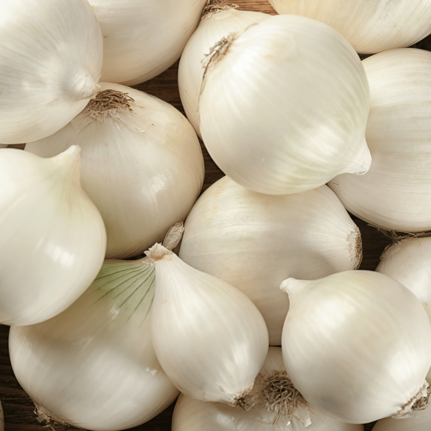 Organic White Onion Seeds(Pack Of - 30 Seeds)