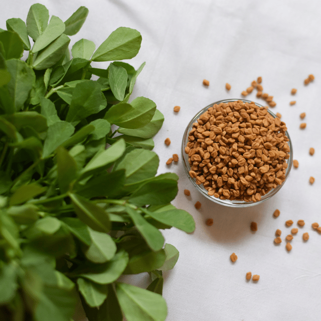 Organic  Methi / Fenugreek Leaves Seeds (Pack Of - 50 Seeds)