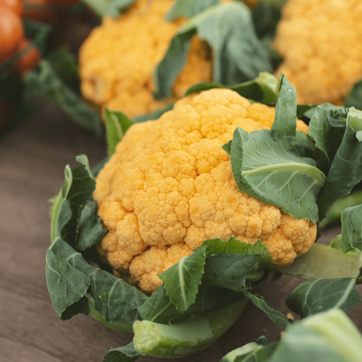 Yellow Cauliflower Seeds  - F1 Hybrid (Pack of 10 Seeds)