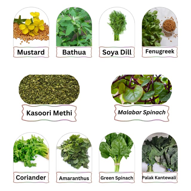 10 Variety Combo Pack- Leafy Vegetables Seeds