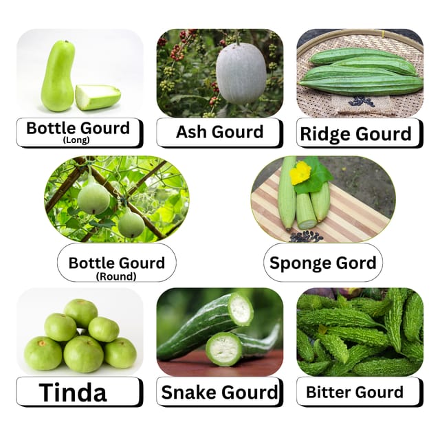 8 Variety Gourd Combo Pack - Vegetables Seeds