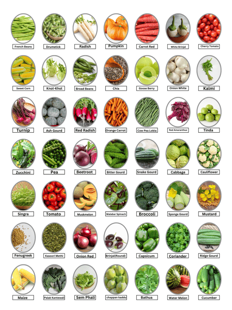 45 Variety Combo Pack -Vegetable Seeds