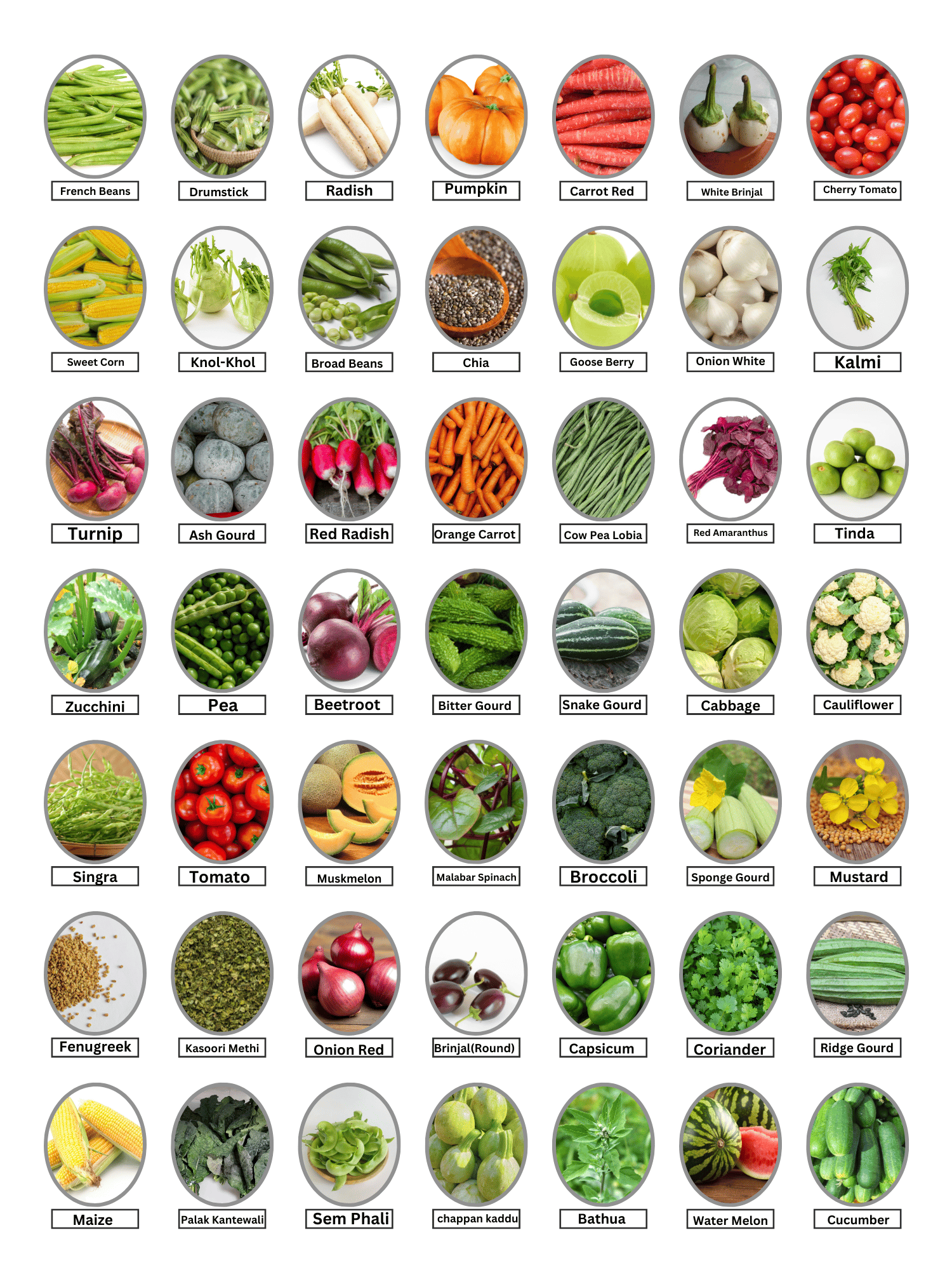 Vegetable Seeds Combo Pack - (45 Varieties)