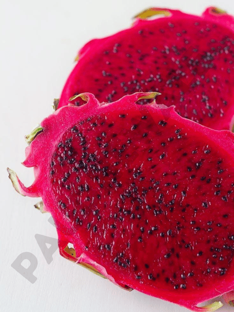 Jumbo Red Variety Dragon Fruit Plant (Pack of 6 Cuttings, Size - 1 Foot)