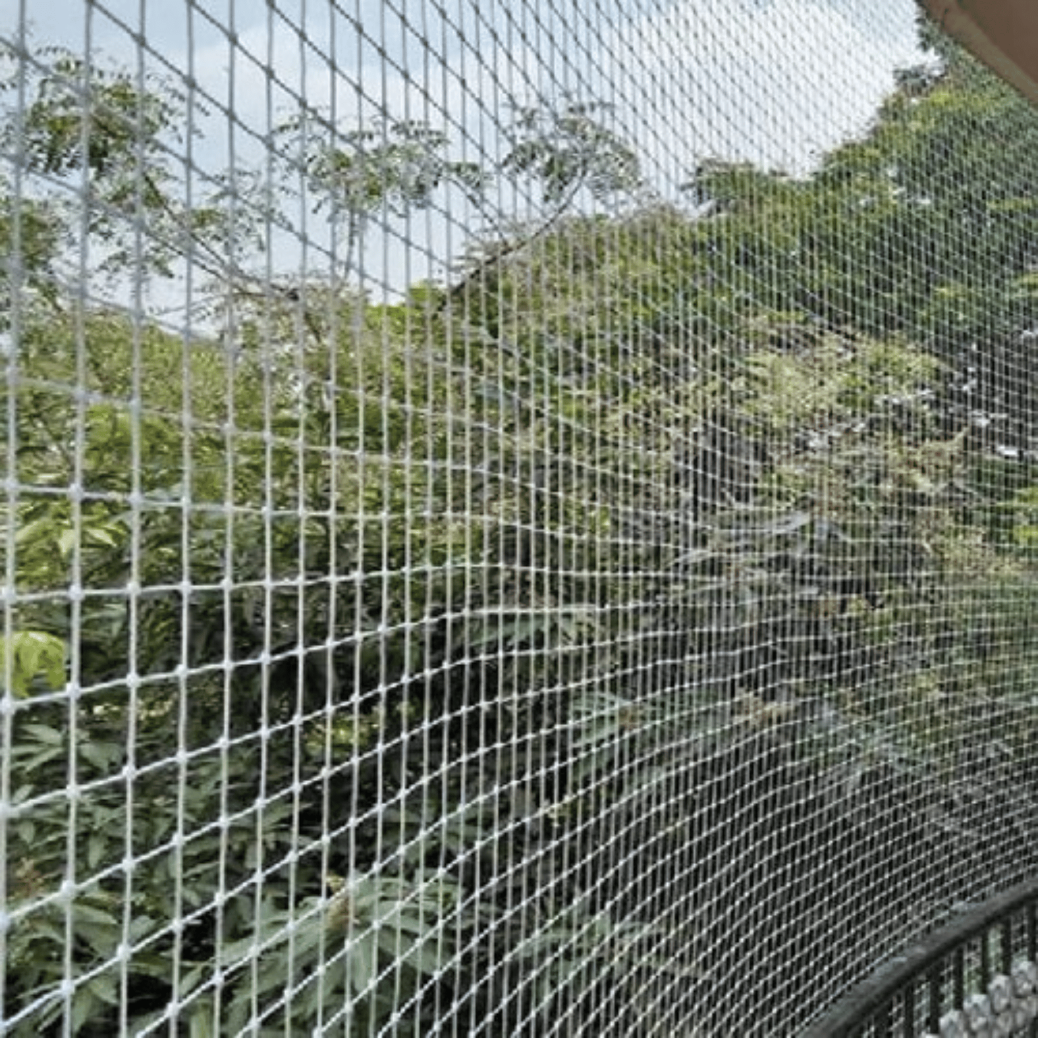 Bird Net /Anti Bird Net / Pigeon Net (10 x 15 feet)