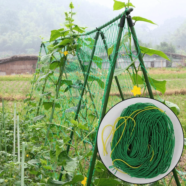 Climbing Net 3 x 3 Meters – for Plants, Vines, and Vegetables