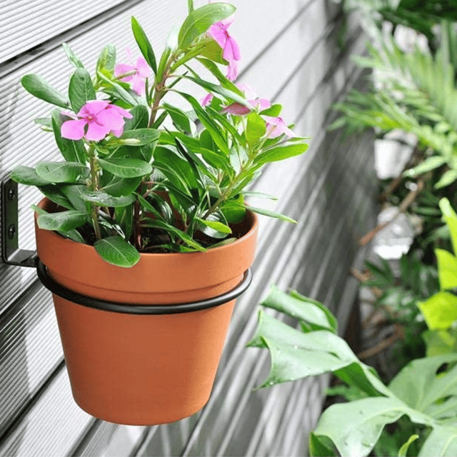 Black Iron Wire Hanging Planter Pot Holder Ring | Wall-Mounted Planter Hook