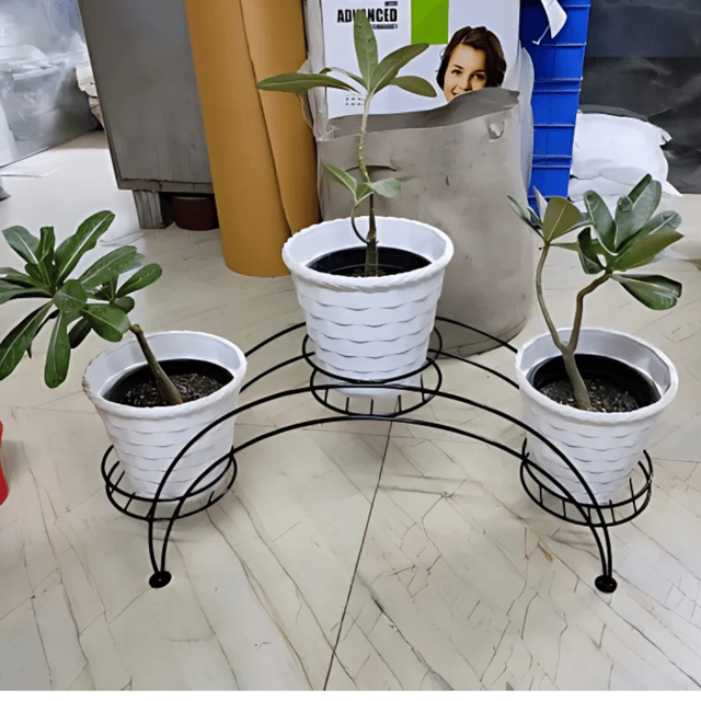 Metal Plant Stand with Pots | Elegant Indoor & Outdoor Plant Display(WITHOUT POTS )