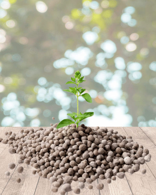 DAP FERTILIZER FOR PLANTS & GARDEN |  DIAMMONIUM PHOSPHATE 200 GRAMS