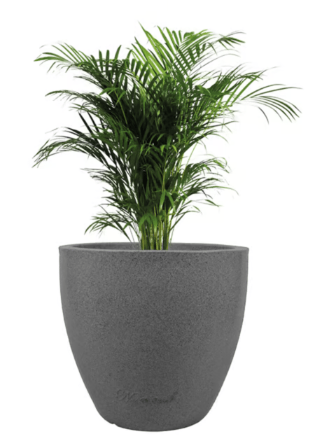 22 Inch Grey Premium Convessa Fiberglass Planter - Durable Large size decoratiive fiber pot for indoor outdoor plants